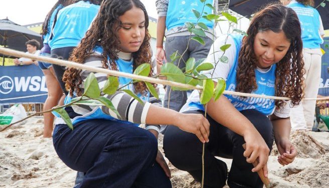 Plantio de mudas nativas reforça compromisso ambiental em São Sebastião