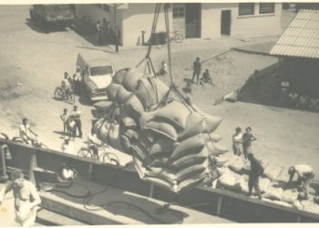 Coluna ‘São Sebastião: Vozes da História’: Fundass resgata memória do primeiro embarque de café no Porto de São Sebastião