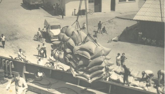 Coluna ‘São Sebastião: Vozes da História’: Fundass resgata memória do primeiro embarque de café no Porto de São Sebastião