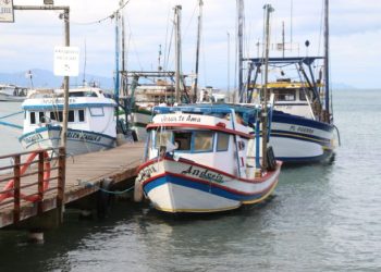 Pescadores artesanais de São Sebastião retomam suas atividades a pesca do camarão