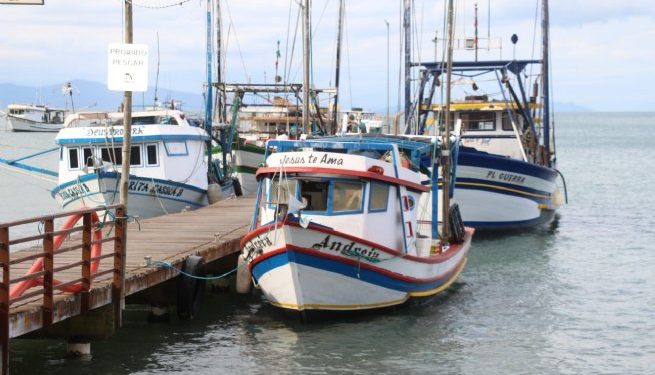 Pescadores artesanais de São Sebastião retomam suas atividades a pesca do camarão