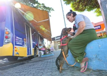 Pronto Atendimento de Tratamento Animal de São Sebastião realiza mais de 1.500 procedimentos no mês de abril