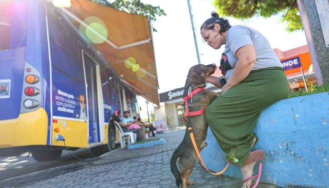 Pronto Atendimento de Tratamento Animal de São Sebastião realiza mais de 1.500 procedimentos no mês de abril