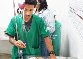 PATA recebe primeira doadora da Campanha Sangue Bom Pra Cachorro