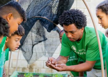 Semana do Meio Ambiente 2025 no Instituto Verdescola une comunidade em prol da conscientização ambiental