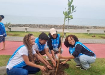 Prefeitura de São Sebastião realiza plantio de mais 55 mudas na Praça Pôr do Sol, em Boiçucanga