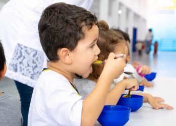 Prefeitura de São Sebastião abre chamada pública para compra de alimentos da agricultura familiar