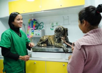 Pronto Atendimento e Tratamento Animal Móvel percorrerá bairros da Costa Norte em agosto