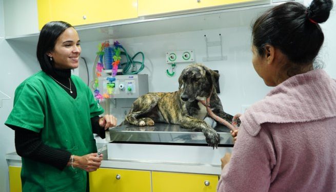 Pronto Atendimento e Tratamento Animal Móvel percorrerá bairros da Costa Norte em agosto