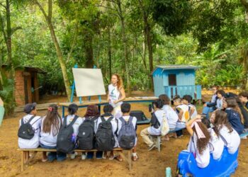 Alunos participam de formação da Jornada Atequenfim & RegenerAção no Viveiro Municipal