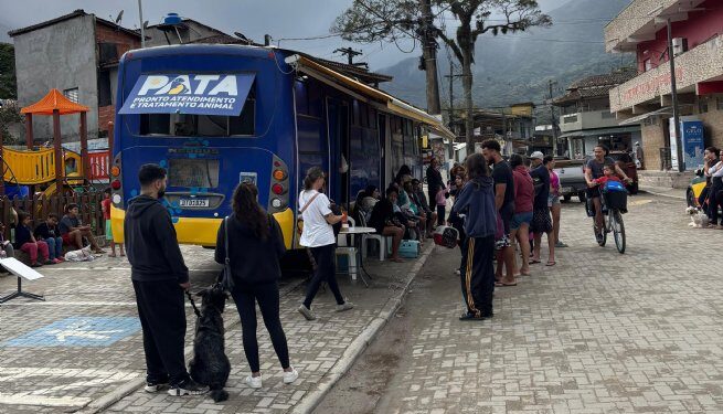 15º Mutirão de Castração em Maresias recebe apenas metade dos animais cadastrados