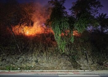 Defesa Civil de São Sebastião alerta para riscos de queimadas neste período seco