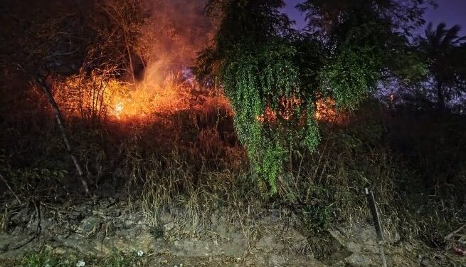 Defesa Civil de São Sebastião alerta para riscos de queimadas neste período seco