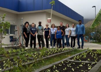 Prefeitura de São Sebastião fortalece projeto ‘Horta para Todos’ com plantio de 150 mudas de hortaliças no CAPS-AD do Canto do Mar