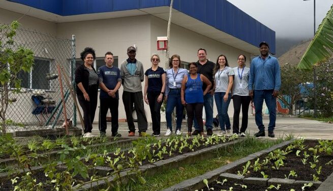 Prefeitura de São Sebastião fortalece projeto ‘Horta para Todos’ com plantio de 150 mudas de hortaliças no CAPS-AD do Canto do Mar