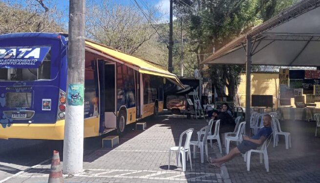 Ação especial leva PATA Móvel e CCZ para castrar e vacinar animais na Vila Sahy