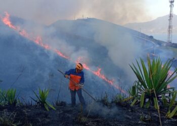 Defesa Civil atua em combate a incêndio no Porto GrandeDefesa Civil atua em combate a incêndio no Porto Grande