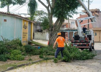 Defesa Civil de São Sebastião atende mais de 140 ocorrências no mês de setembro