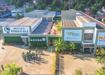 Instituto Verdescola abre inscrições para curso gratuito de Técnicas de Vendas