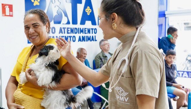 PATA alerta para cuidados com a saúde dos pets durante a temporada de verão