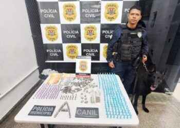 Polícia Municipal e cão farejador apreendem droga no Morro do Wandinho, na Olaria