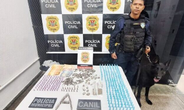 Polícia Municipal e cão farejador apreendem droga no Morro do Wandinho, na Olaria