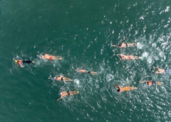 1ª Travessia de São Sebastião tem prova desafiadora de 2.500 metros em águas abertas neste domingo