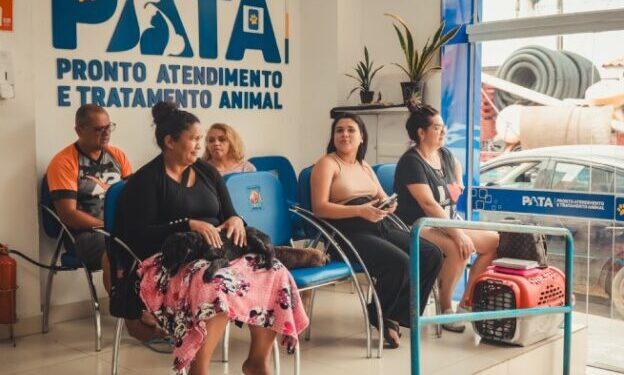 São Sebastião comemora vida salva de cão que recebeu doação na campanha Sangue Bom pra Cachorro do PATA