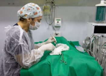 PATA Móvel tem pausa preventiva após paradas nas três regiões da cidade no fim de ano