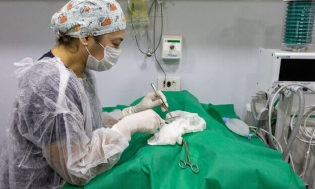 PATA Móvel tem pausa preventiva após paradas nas três regiões da cidade no fim de ano