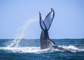 São Sebastião é finalista no Prêmio Nacional do Turismo, o mais importante do setor no Brasil