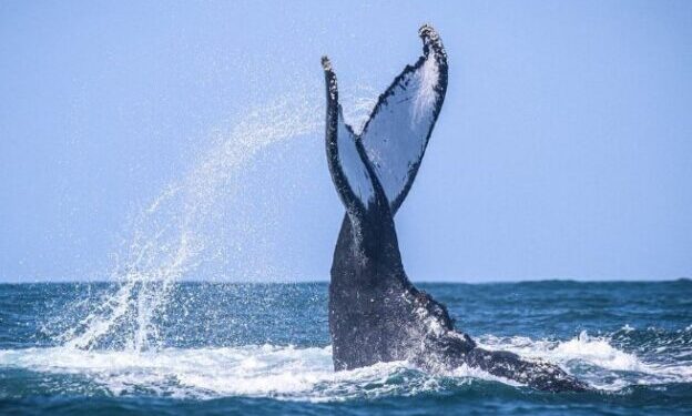 São Sebastião é finalista no Prêmio Nacional do Turismo, o mais importante do setor no Brasil