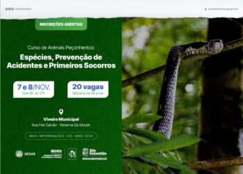 Prefeitura abre inscrições para curso sobre prevenção de acidentes com animais peçonhentos