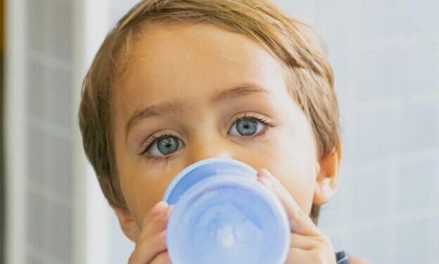 Gestão de Fundo Social em São Sebastião é finalista no 2º Prêmio AMVALE