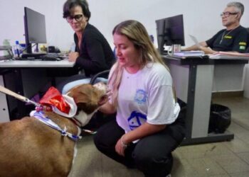 ‘Visita Surpresa de Natal Pet’ chega à Secretaria de Segurança Urbana e reforça alerta contra abandono no Dezembro Verde