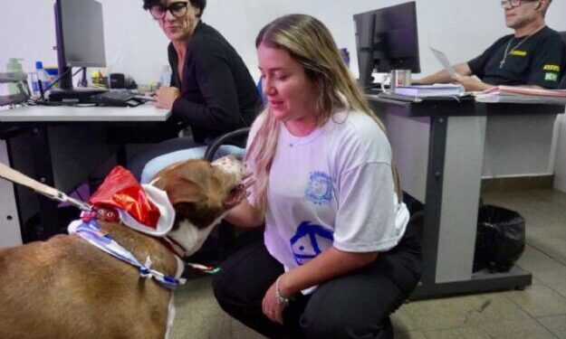 ‘Visita Surpresa de Natal Pet’ chega à Secretaria de Segurança Urbana e reforça alerta contra abandono no Dezembro Verde