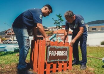 Prefeitura conclui etapa inicial do programa de Arborização Urbana, com 1000 árvores plantadas em 2025