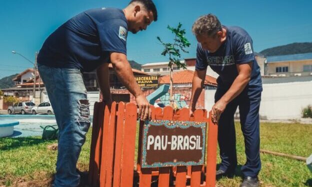 Prefeitura conclui etapa inicial do programa de Arborização Urbana, com 1000 árvores plantadas em 2025