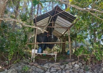 Prefeitura de São Sebastião desmantela construção irregular em área de proteção ambiental em ‘As Ilhas’
