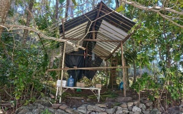 Prefeitura de São Sebastião desmantela construção irregular em área de proteção ambiental em ‘As Ilhas’