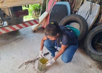 Prefeitura intensifica combate à dengue e inicia nova fase de vistorias na Costa Sul