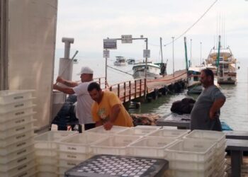Prefeitura de São Sebastião retoma atividades da Fábrica de Gelo do bairro São Francisco