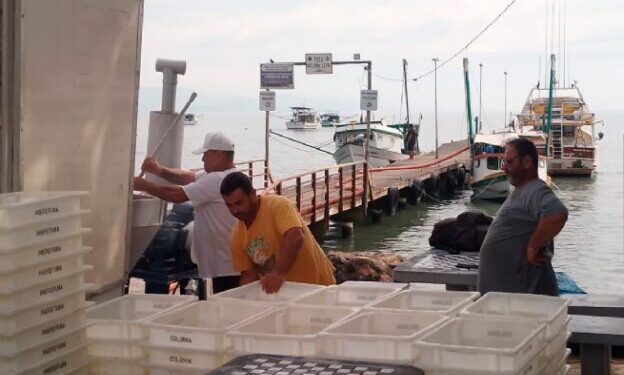 Prefeitura de São Sebastião retoma atividades da Fábrica de Gelo do bairro São Francisco