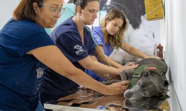 PATA Móvel retoma atendimentos em 2026 na próxima semana