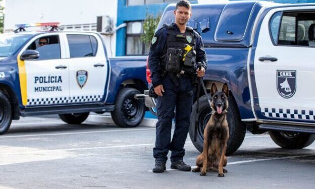 São Sebastião encerra 2025 com mais de 25 mil ocorrências atendidas e reforço na segurança tecnológica