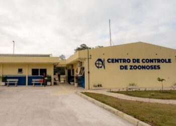 Centro de Controle de Zoonoses de São Sebastião incentiva adoção responsável de cães e gatos