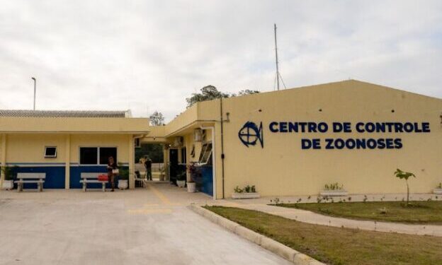 Centro de Controle de Zoonoses de São Sebastião incentiva adoção responsável de cães e gatos