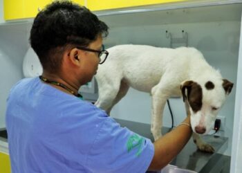 PATA Móvel encerra primeira parada de 2026 com alerta para absenteísmo em castrações
