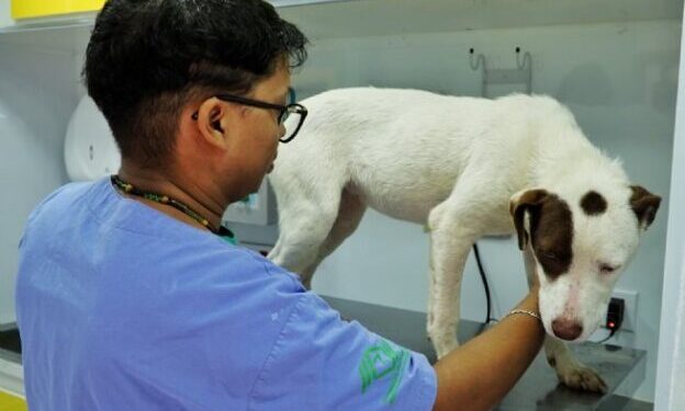 PATA Móvel encerra primeira parada de 2026 com alerta para absenteísmo em castrações