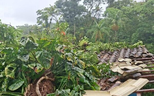 Prefeitura de São Sebastião realiza operação de pronta-resposta após temporal no Litoral Norte